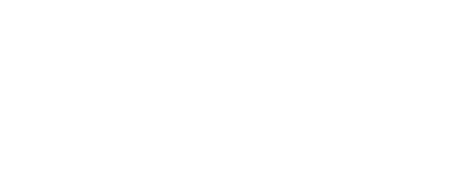 The Dreamer